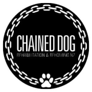 Chained Dog Rehabilitation &amp; Rehoming